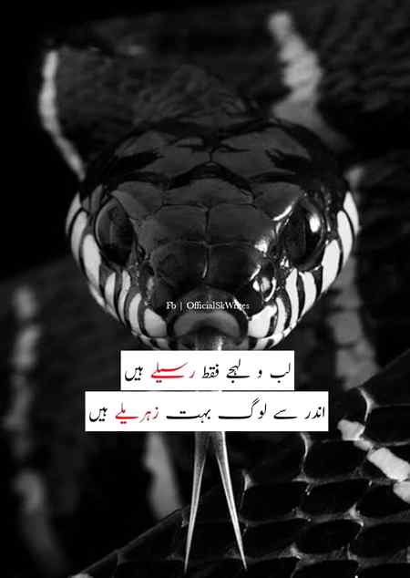 Beshak aisy hi ha. I agree