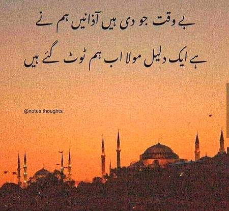 Amazing...🌷🌷🌷🖖✌