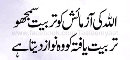 🌹🌹🌹صلی اللہ علی حبیبہ محمد نور من نوراللہ وعلی آلہ واہل بیتہ وعترتہ وازواجہ وصحبہ وجدہ وذریتہ و کل امتہ وبارک وسلم کثیراً کثیرا و دائماً ابدا 🌹🌹🌹