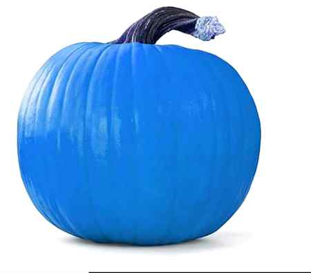 Bhot socha mgr abhi tk pta nhi chla k ye kya chez hi🐱🌠🐒