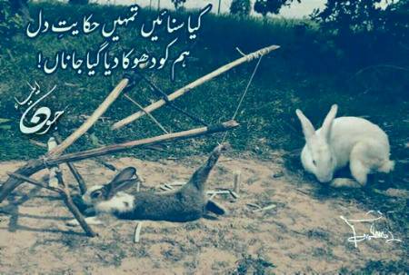 Hum ko dhoka dea gea Jana😳