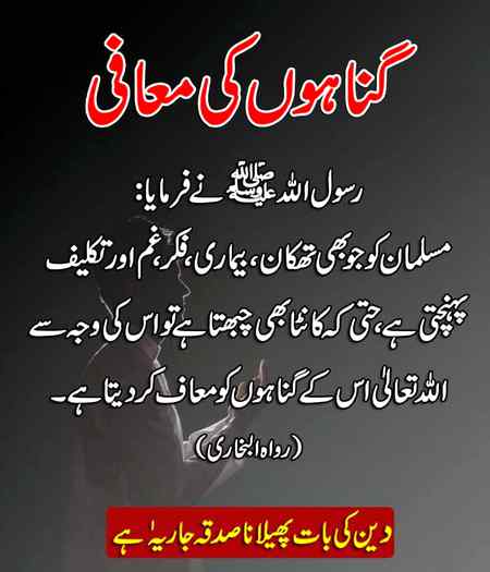 💕SUBHANALLAH 💕