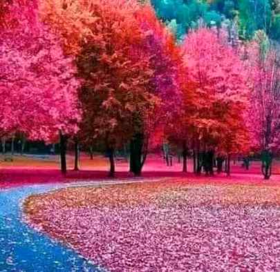Sending by fareed ahmed shaikh