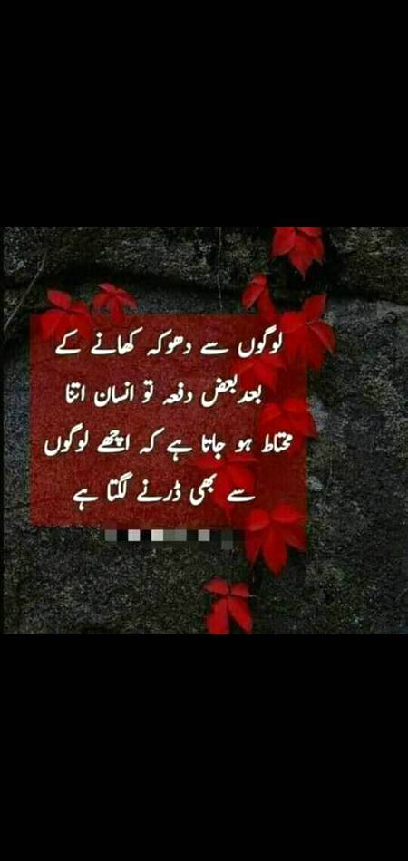 KY achy logo sy bhi Dr lgta h 😓