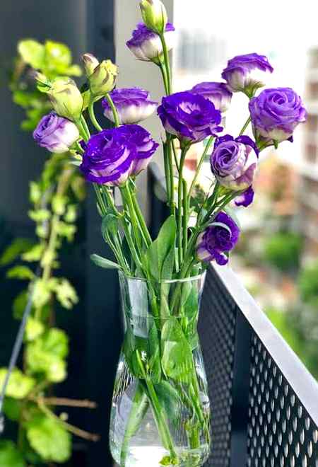 Beautiful flowers💜