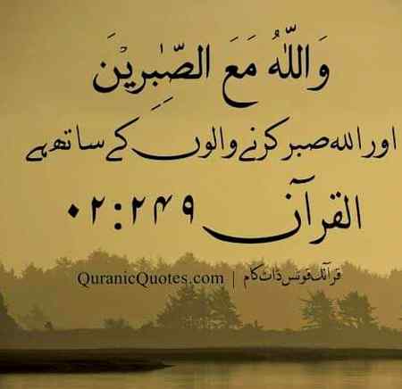 Beshak 💝💝