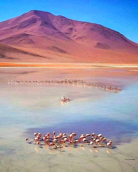 Bolivia!🍁🍁🍁