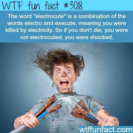 WTF fun fact
