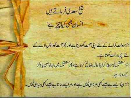 Shaikh Sadi..❤