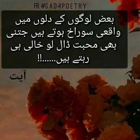 بعض لوگوں کے دلوں میں واقعی سوراخ ہوتے ہیں جتنی بھی محبت ڈال لو خالی ہی رہتے ہیں..