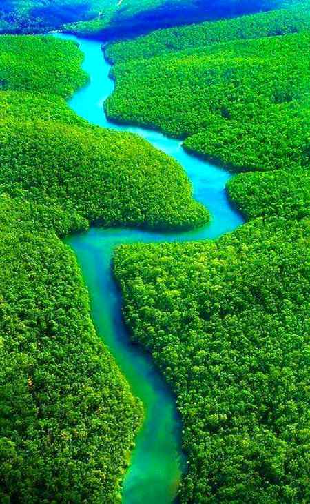 Nice greenery view