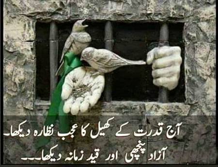 آزاد پنچھی اور قید زمانہ دیکھا