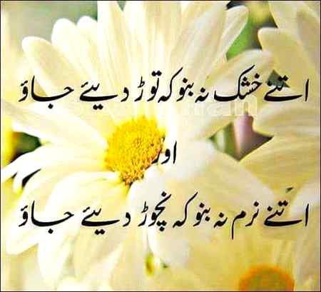 Itny----