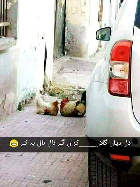 So cute na 😍😍💕💕...