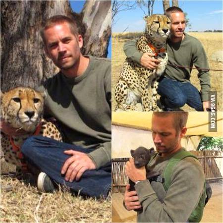 Hollywood actor Paul walker