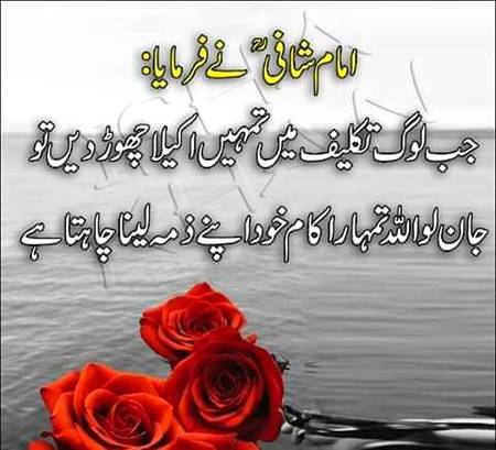 True🌹🌹🌹💯💯💯