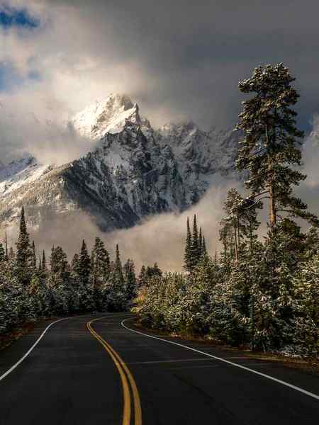 Grand teton national park, moose ,Wyoming