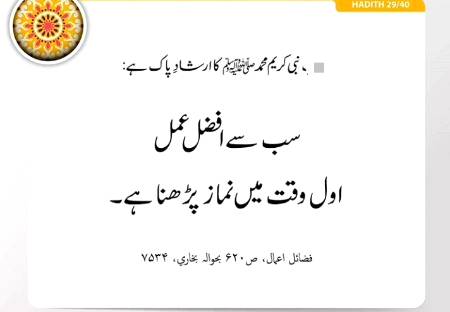 زندگی دوسرے کے عیبوں پر نہیں بلکہ اپنے محاسن پر بسر کرنے کا نام ہے۔