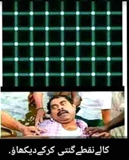 Dekhtyn hain kon krta hai😎