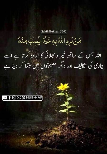 *حدیثِ مبارکہ*