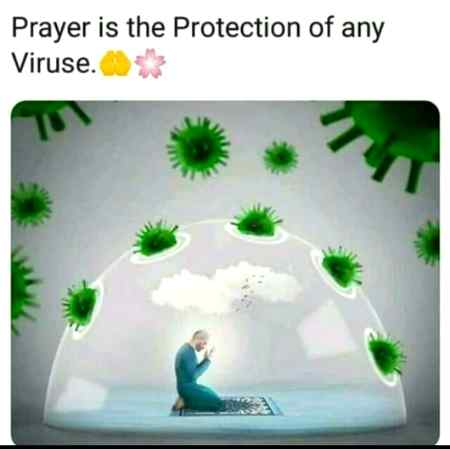 Mughal sharni follow me