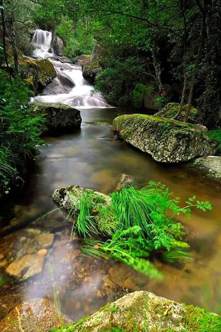 So splendid shot💕