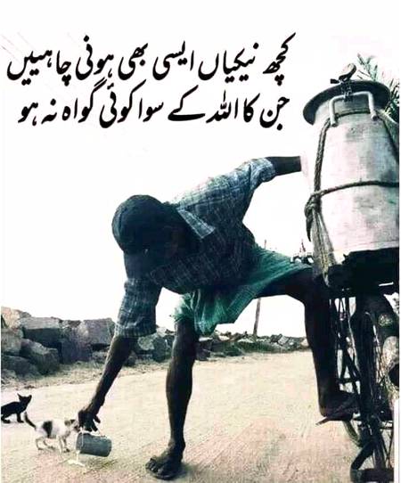 اللہ کے سوا کوئی گواہ نہں