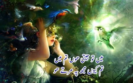 اردو شاعری