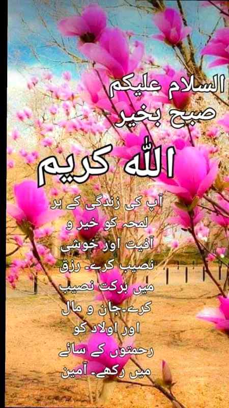 Sub۔ کوسلام