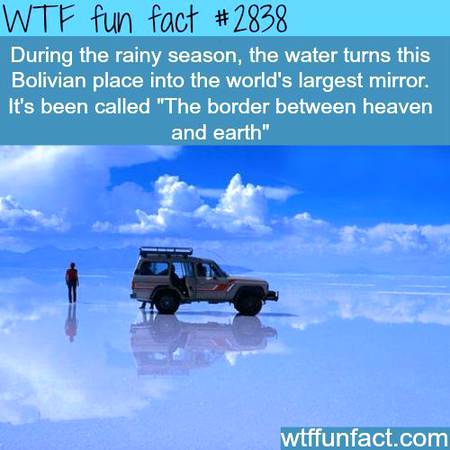 WTF fun fact