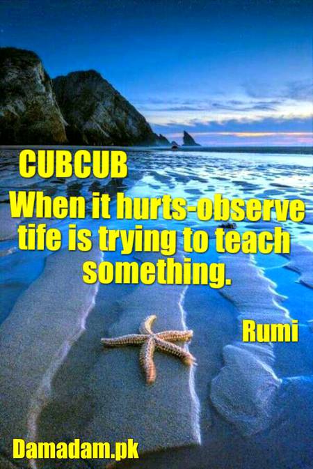 RUMI'S WORDS