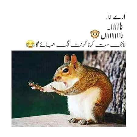 Ary na naa like mat krna