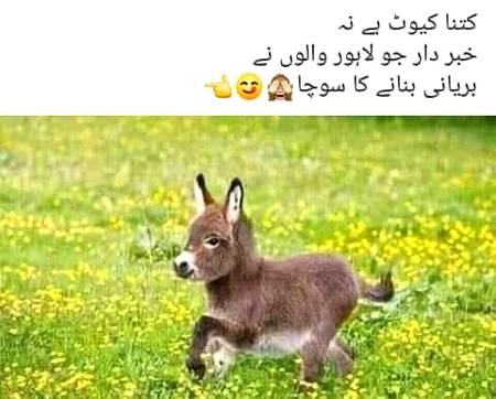 Lahoreyo kch socho