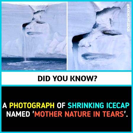 DID YOU KNOW??