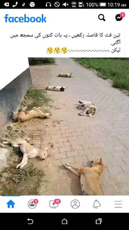 Displn asy hoty han