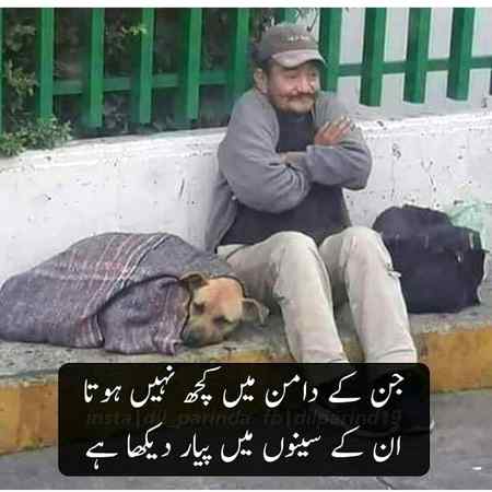 دامن میں کچھ نھیں😒
 لیکن سینے میں پیار⁦❤️⁩
واہ بھائی💔