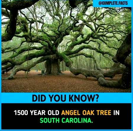 Did you know