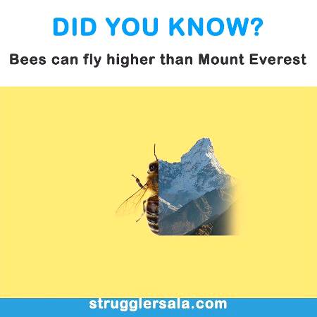 Did you know that