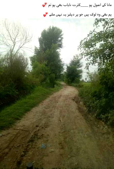 Bilal JuTt