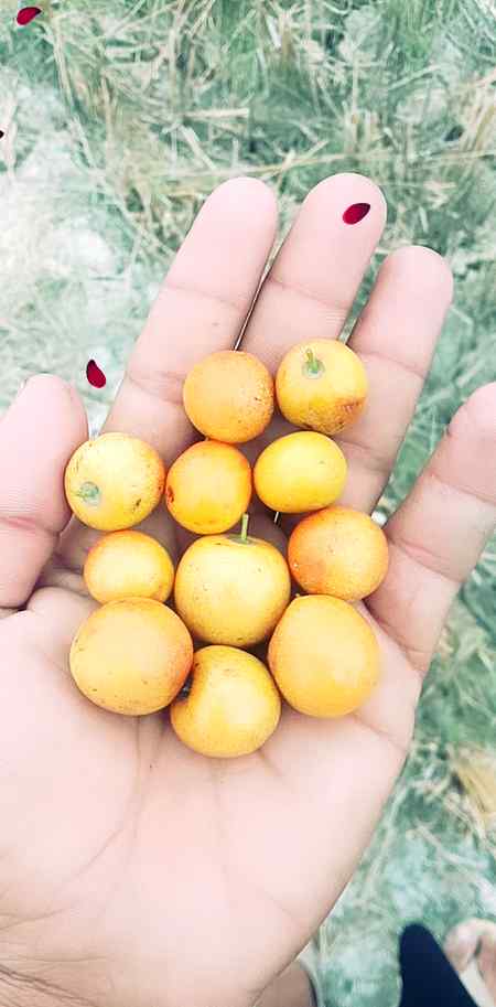 بڑی مُشکلوں سے دل سنبھلا تھا
پھر نظر آ گیا ___ وہ راہوں میں