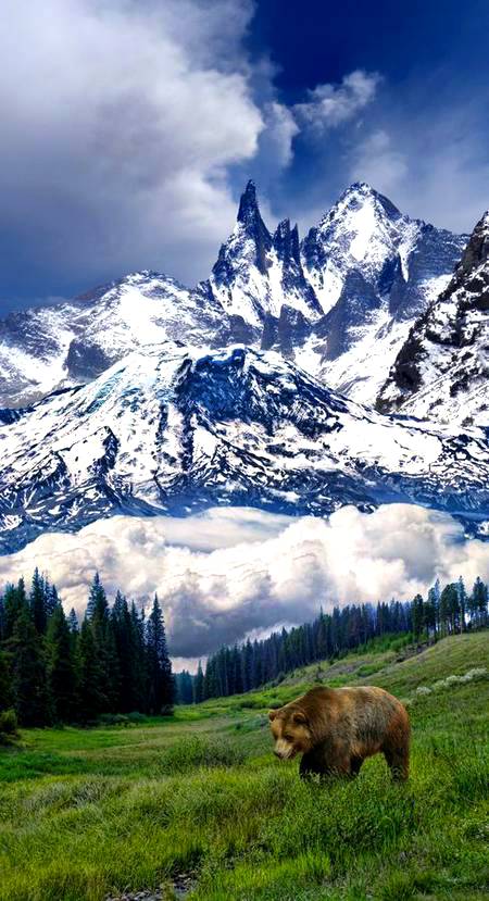 So stunning Mountain shot!