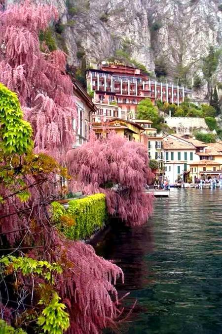 So beautiful 😍😍😍