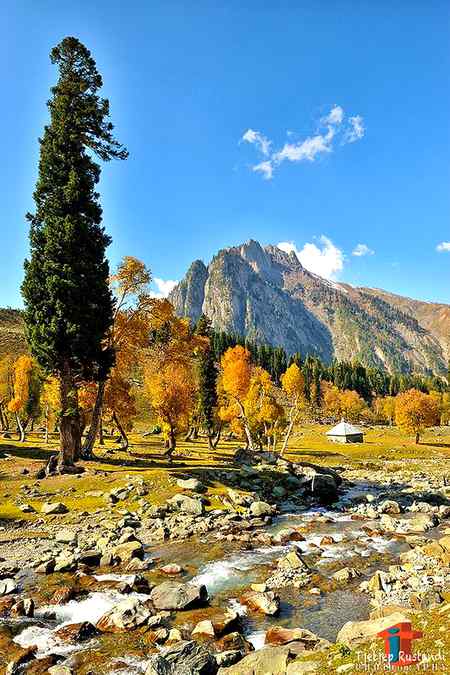 ...Nature beauty ...