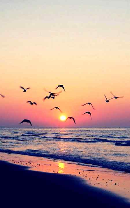 Beautiful sunset