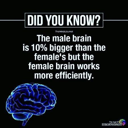 DID YOU KNOW??