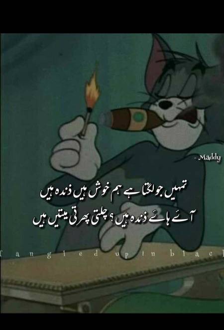 Guzara kr rahy hai bs😏😒👍🏻