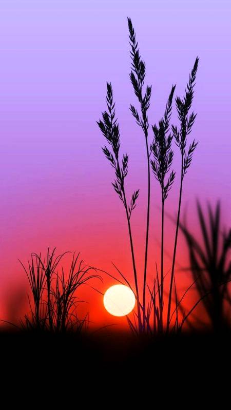 شام بخیر اچھے لوگو