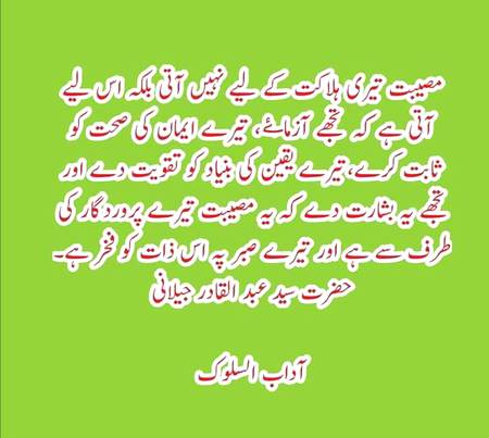 🌹🌹🌹صلی اللہ علی حبیبہ محمد نور من نوراللہ وعلی آلہ واہل بیتہ وعترتہ وازواجہ وصحبہ وجدہ وذریتہ و کل امتہ وبارک وسلم کثیراً کثیرا و دائماً ابدا 🌹🌹🌹