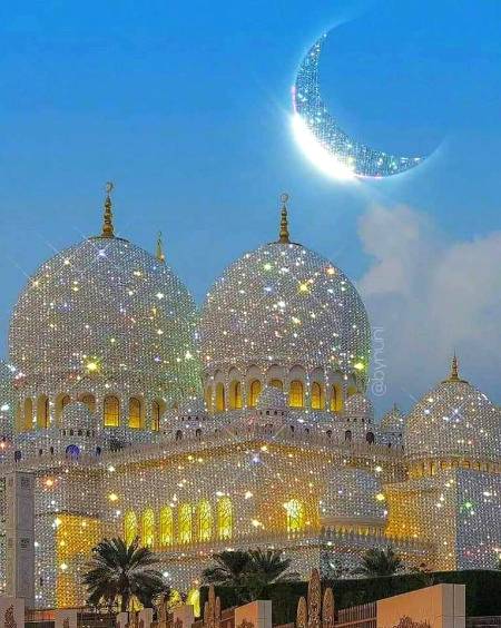 قدم مسجد کی طرف میرے اپنے آپ اٹھ گئے✨🌸 

اپنی عمر کے لوگوں کو جب میں نے مرتے دیکھا. ❤