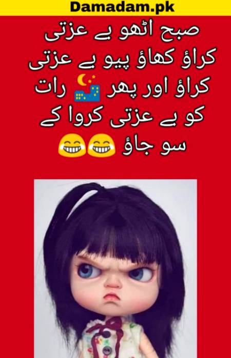 صبح اٹھو بے عزتی کراؤ